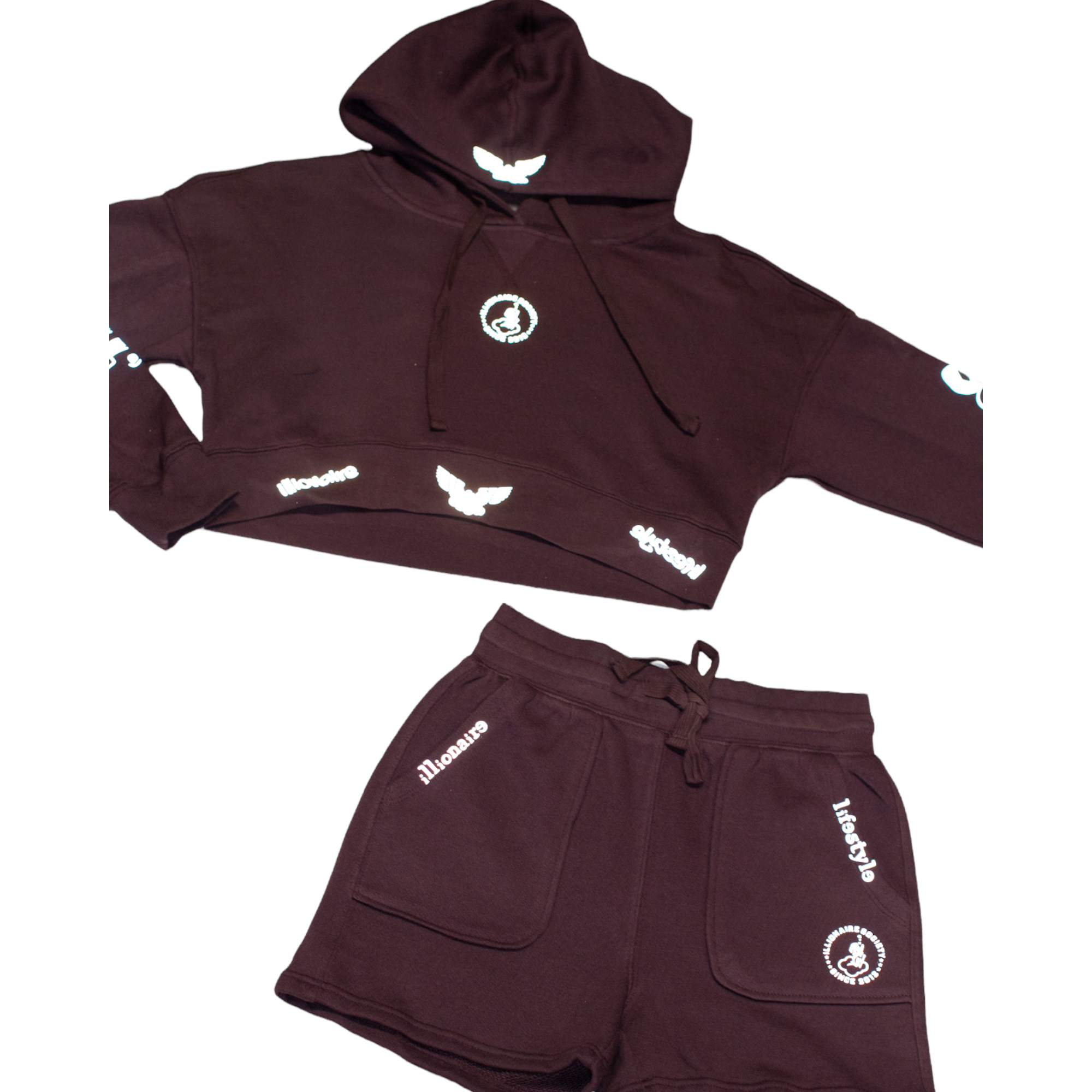 Reflective 2025 cropped hoodie